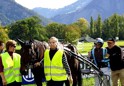 Sieger nv 02 02 cheval ung