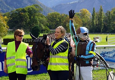 Sieger nv 02 04 cheval ung