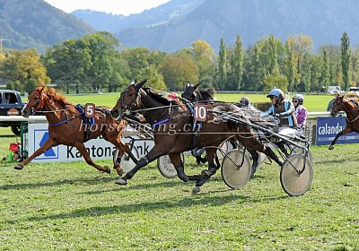 race uw 02 04 cheval ung dulce et decorum etc