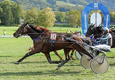 race uw 02 05 cheval ung