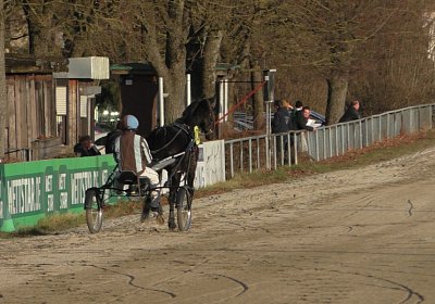 Daglfing 8dez2019 B S3950003