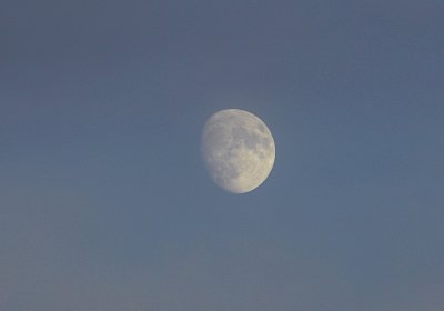 Daglfing 8dez2019 D S3950008