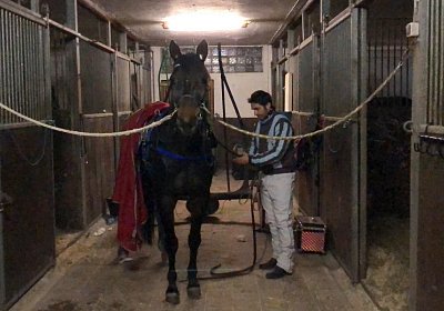 Daglfing 8dez2019 E IMG 3418 Globi