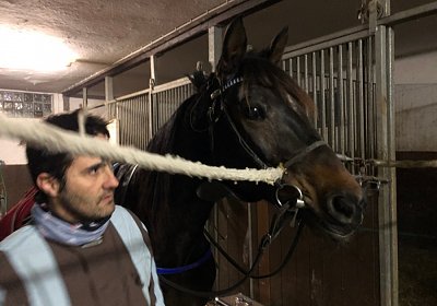 Daglfing 8dez2019 E IMG 3421 Globi