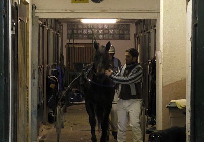 Daglfing 8dez2019 E S3950026 Globi