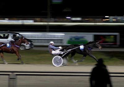 Daglfing 8dez2019 R S3950043 Globi