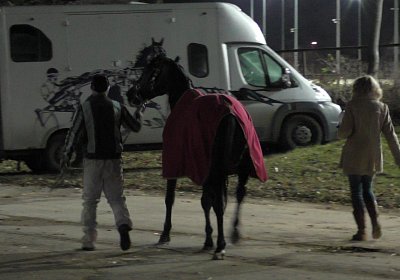 Daglfing 8dez2019 R S3950046 Globi