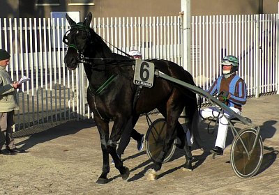 Milano Light 12jan2020 S4040015