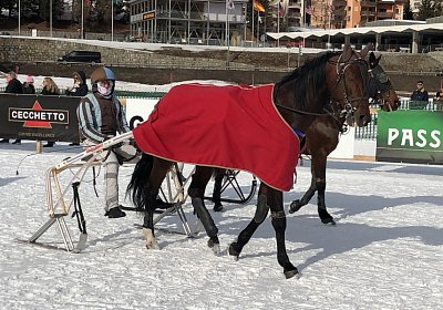 StMoritz 16 02 2020 Sonny 1