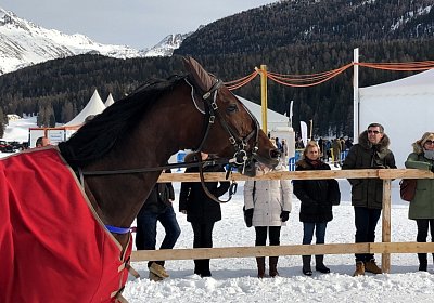 StMoritz 16 02 2020 Sonny 3