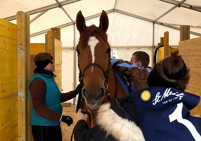 StMoritz 16 02 2020 Zock Satteln 2
