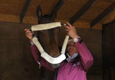 E S4250010 Suprimo Duesseldorf