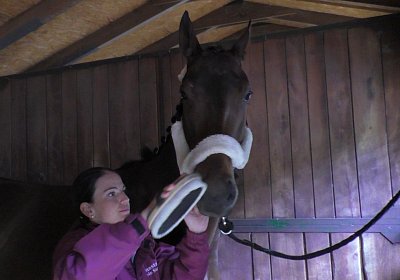 F S4250014 Suprimo Duesseldorf