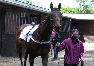 F S4250030 Suprimo Duesseldorf