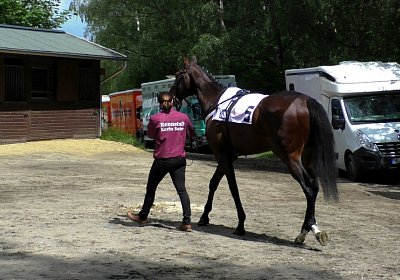 F S4250031 Suprimo Duesseldorf