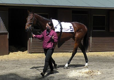 F S4250033 Suprimo Duesseldorf