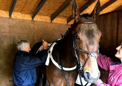 G IMG 2730 Suprimo Duesseldorf