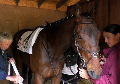 G S4250018 Suprimo Duesseldorf