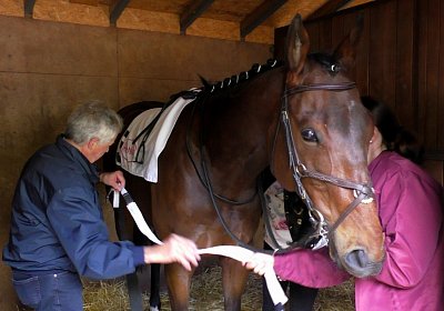 G S4250019 Suprimo Duesseldorf