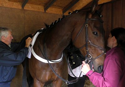 G S4250022 Suprimo Duesseldorf