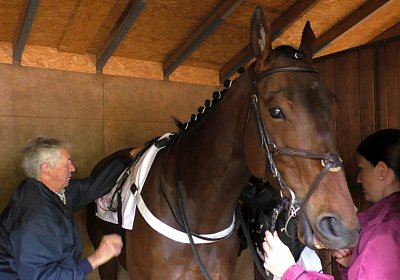 G S4250023 Suprimo Duesseldorf