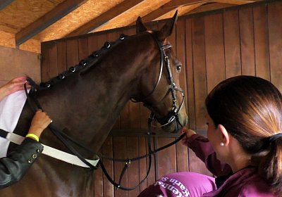 G S4250025 Suprimo Duesseldorf