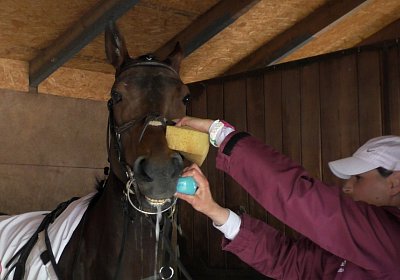 G S4250028 Suprimo Duesseldorf