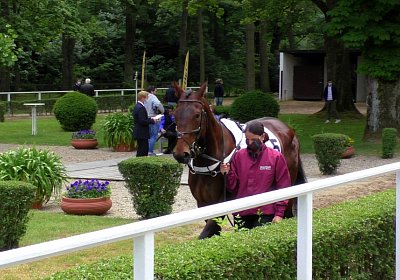 H S4250040 Suprimo Duesseldorf
