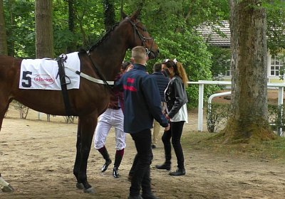 H S4250047 Suprimo Duesseldorf