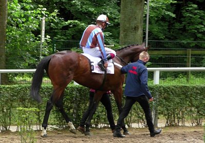 H S4250051 Suprimo Duesseldorf