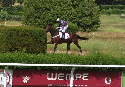 H S4250054 Suprimo Duesseldorf