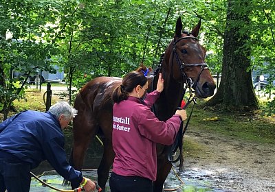 IMG 2740 Suprimo Duesseldorf