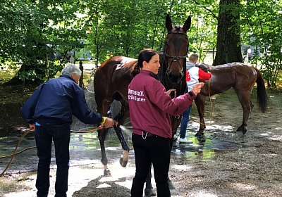 IMG 2743 Suprimo Duesseldorf