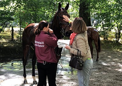 IMG 2744 Suprimo Duesseldorf