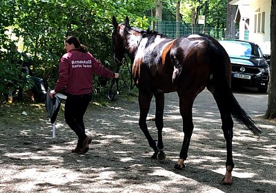 IMG 2746 Suprimo Duesseldorf