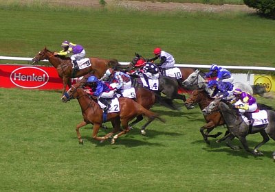 Race S4250057 Suprimo Duesseldorf