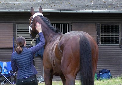 S S4250064 Suprimo Duesseldorf