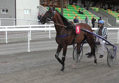 S4270003 Sonny Av 14juni2020