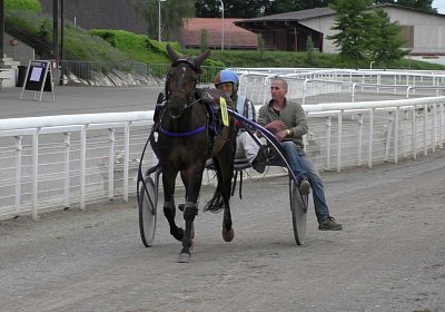 S4270011 Globi Av 14juni2020