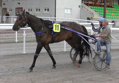 S4270013 Globi Av 14juni2020