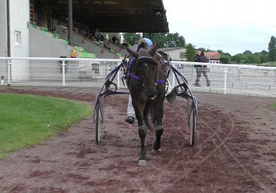 S4270014 Globi Av 14juni2020