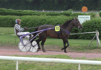 S4270017 Globi Av 14juni2020