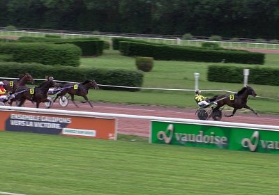 S4270018 Globi Av 14juni2020