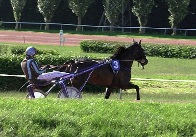 Av 22juni2020 Energy S4310007