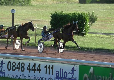 Av 22juni2020 Fiddle S4310042