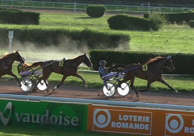 Av 22juni2020 Fiddle S4310044