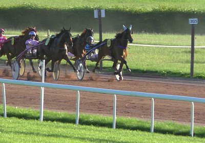 Av 22juni2020 Fiddle S4310048