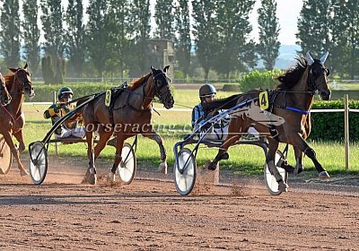 Av 22juni2020 Fiddle uw 05 02 fiddlesticks goldattor etc