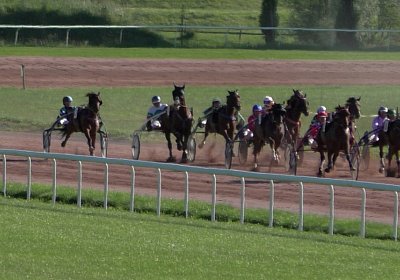 Av 22juni2020 Rebus S4310029