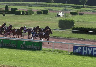 Av 22juni2020 Rebus S4310032